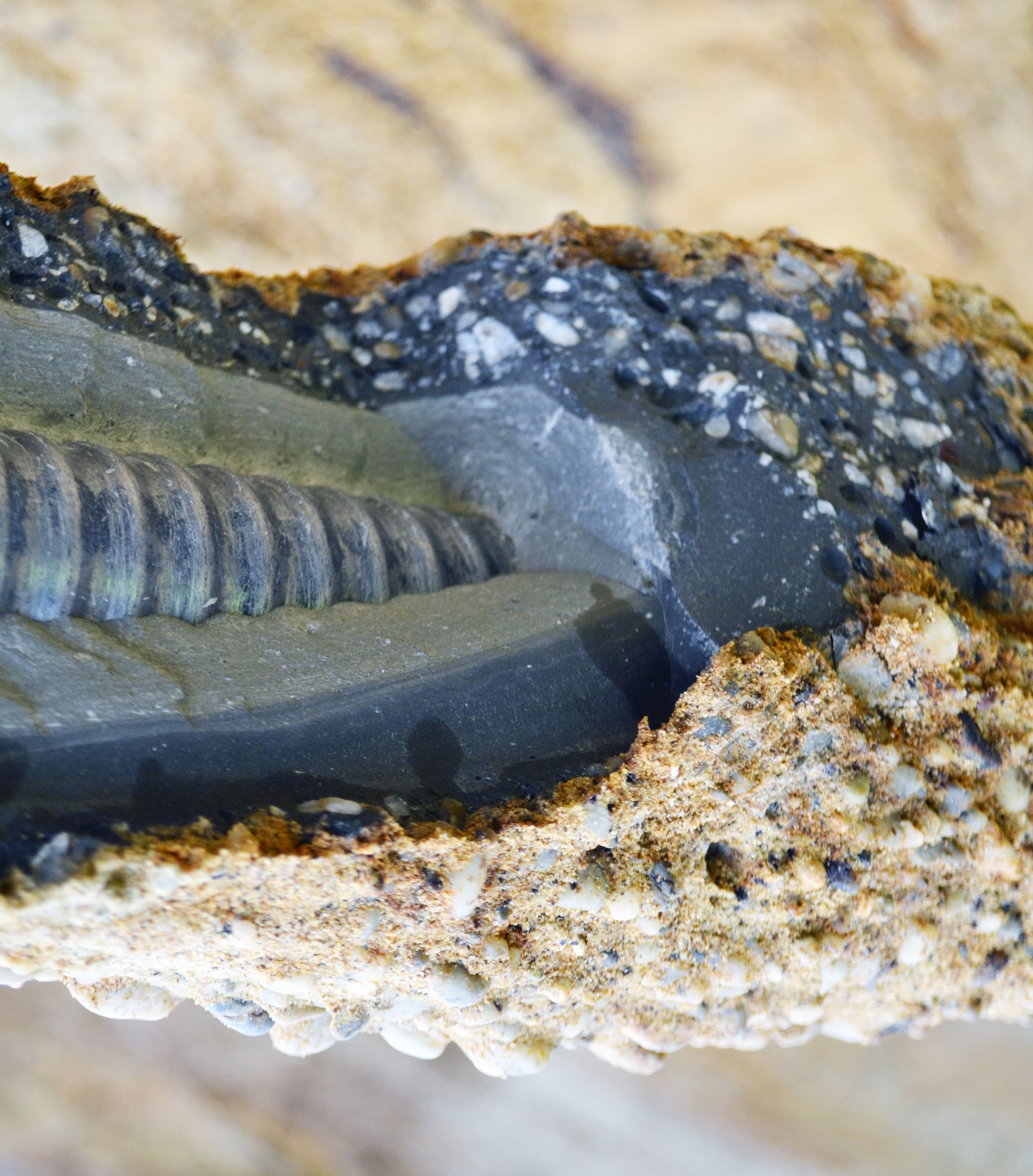 DYWI-Drill-Hohlstab-mit-Zementumhuellung